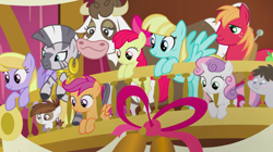 Size: 1440x809 | Tagged: safe, screencap, character:apple bloom, character:big mcintosh, character:cloud kicker, character:daisy jo, character:helia, character:pipsqueak, character:scootaloo, character:sweetie belle, character:truffle shuffle, character:zecora, species:cow, species:earth pony, species:pegasus, species:pony, species:unicorn, species:zebra, episode:slice of life, g4, my little pony: friendship is magic, background pony, balcony, colt, cutie mark crusaders, ear piercing, earring, female, filly, foal, jewelry, male, mare, neck rings, piercing, stallion
