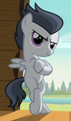 Size: 336x573 | Tagged: safe, screencap, character:rumble, species:pegasus, species:pony, episode:marks and recreation, g4, my little pony: friendship is magic, badass, bipedal, colt, cropped, crossed arms, crossed hooves, gangsta, hooves, male, smiling, solo, standing, wings