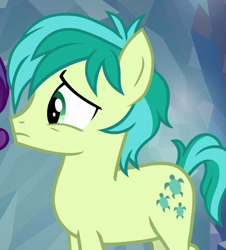 Size: 601x665 | Tagged: safe, screencap, character:rarity, character:sandbar, species:earth pony, species:pony, episode:what lies beneath, g4, my little pony: friendship is magic, cropped, cutie mark, male, teenager