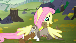 Size: 1440x810 | Tagged: safe, screencap, character:fluttershy, species:duck, species:pegasus, species:pony, episode:the hooffields and mccolts, g4, my little pony: friendship is magic, animal, cute, female, ferret, hug, kindness, mare, mouse, rock, shyabetes, squirrel, tree, tree stump, winghug