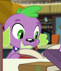 Size: 448x518 | Tagged: safe, screencap, character:spike, character:spike (dog), species:dog, equestria girls:forgotten friendship, g4, my little pony:equestria girls, book, cropped, male, puppy, reading, smiling, solo