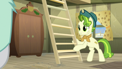 Size: 1280x720 | Tagged: safe, screencap, character:pistachio, character:rarity, species:pony, episode:best gift ever, g4, my little pony: friendship is magic, clothing, hat, ladder