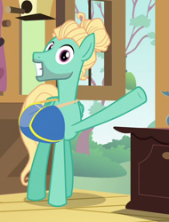 Size: 410x540 | Tagged: safe, screencap, character:zephyr breeze, species:pegasus, species:pony, episode:flutter brutter, g4, my little pony: friendship is magic, cropped, fluttershy's cottage (interior), hair bun, looking at you, saddle bag, smiling, solo