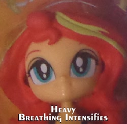 Size: 501x488 | Tagged: safe, screencap, character:sunset shimmer, my little pony:equestria girls, doll, equestria girls minis, face, heavy breathing, toy
