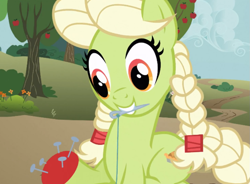 Size: 975x717 | Tagged: safe, screencap, character:granny smith, species:earth pony, species:pony, episode:apple family reunion, g4, my little pony: friendship is magic, braid, braided tail, cropped, female, mare, mouth hold, needle, pincushion, sewing, solo, thread, young granny smith, younger
