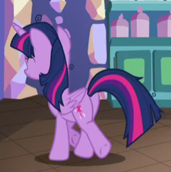 Size: 272x273 | Tagged: safe, screencap, character:twilight sparkle, character:twilight sparkle (alicorn), species:alicorn, species:pony, episode:best gift ever, g4, my little pony: friendship is magic, cropped, plot, solo, twibutt