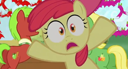 Size: 616x336 | Tagged: safe, screencap, character:apple bloom, character:apple cinnamon, character:wensley, episode:apple family reunion, g4, my little pony: friendship is magic, apple family member