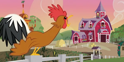 Size: 600x300 | Tagged: safe, screencap, species:bird, species:rooster, episode:apple family reunion, g4, my little pony: friendship is magic, applejack's house, crowing, giant cock, morning, open beak, solo, sweet apple acres