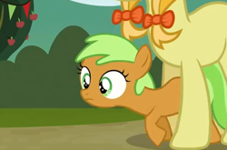 Size: 472x312 | Tagged: safe, screencap, character:apple crumble, character:jonagold, episode:apple family reunion, g4, my little pony: friendship is magic, apple family member, filly