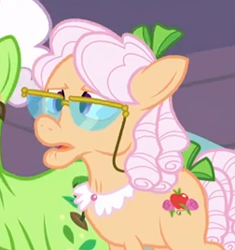 Size: 252x268 | Tagged: safe, screencap, character:apple rose, character:auntie applesauce, species:earth pony, species:pony, episode:apple family reunion, g4, my little pony: friendship is magic, cropped, elderly, female, glasses, mare, solo focus