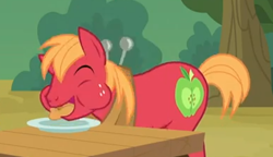 Size: 388x224 | Tagged: safe, screencap, character:big mcintosh, species:earth pony, species:pony, episode:apple family reunion, g4, my little pony: friendship is magic, apple fritter (food), eating, male, stallion