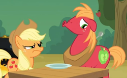 Size: 504x308 | Tagged: safe, screencap, character:applejack, character:big mcintosh, species:earth pony, species:pony, episode:apple family reunion, g4, my little pony: friendship is magic, male, stallion