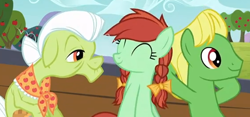 Size: 564x264 | Tagged: safe, screencap, character:candy apples, character:granny smith, character:wensley, species:earth pony, species:pony, episode:apple family reunion, g4, my little pony: friendship is magic, apple family member, background pony, bow, braid, elderly, female, hair bow, male, mare, stallion, trio
