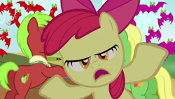 Size: 1280x720 | Tagged: safe, screencap, character:apple bloom, character:apple cinnamon, character:wensley, episode:apple family reunion, g4, my little pony: friendship is magic, animation error, apple family member, lidded eyes, plot