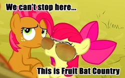 Size: 615x381 | Tagged: safe, screencap, character:apple bloom, character:babs seed, species:earth pony, species:pony, episode:apple family reunion, g4, my little pony: friendship is magic, duo, fear and loathing in las vegas, female, filly, fruit bat, image macro, meme, parody, raoul duke, sunglasses, we can't stop here this is bat country