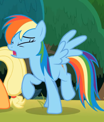 Size: 578x677 | Tagged: safe, screencap, character:applejack, character:rainbow dash, species:pegasus, species:pony, episode:non-compete clause, g4, my little pony: friendship is magic, cropped, cutie mark, eyes closed, female, invisible stallion, mare, offscreen character, out of context, raised hoof, wings