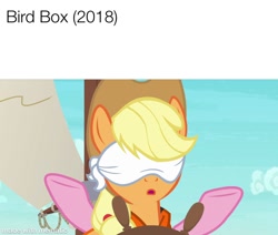 Size: 1000x848 | Tagged: safe, screencap, character:applejack, character:pinkie pie, episode:p.p.o.v. (pony point of view), g4, my little pony: friendship is magic, applejack's hat, bird box, blindfold, boat, clothing, cowboy hat, hat, meme, movie meme, watermark