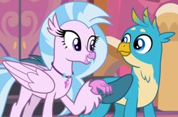 Size: 564x370 | Tagged: safe, screencap, character:gallus, character:silverstream, species:classical hippogriff, species:griffon, species:hippogriff, episode:non-compete clause, g4, my little pony: friendship is magic, duo, female, male