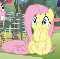 Size: 341x339 | Tagged: safe, screencap, character:fluttershy, species:pony, episode:filli vanilli, g4, my little pony: friendship is magic, season 4, scared