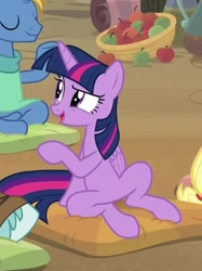 Size: 597x799 | Tagged: safe, screencap, character:twilight sparkle, character:twilight sparkle (alicorn), species:alicorn, species:pony, episode:a rockhoof and a hard place, g4, my little pony: friendship is magic, female, open mouth, pillow, raised eyebrow, sitting, solo focus