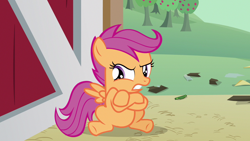 Size: 1280x720 | Tagged: safe, screencap, character:scootaloo, species:pegasus, species:pony, episode:one bad apple, g4, my little pony: friendship is magic, angry, barn, crossed hooves, door, solo