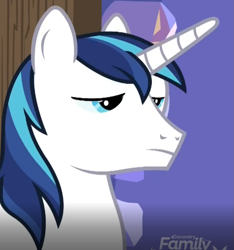 Size: 739x788 | Tagged: safe, screencap, character:shining armor, species:pony, species:unicorn, episode:best gift ever, g4, my little pony: friendship is magic, cropped, shining armor is not amused, solo, unamused