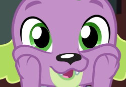 Size: 1041x720 | Tagged: safe, screencap, character:spike, character:spike (dog), species:dog, episode:reboxing with spike!, g4, my little pony:equestria girls, cropped, cute, male, paws, spikabetes, touching face