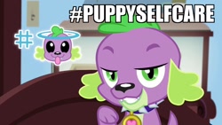 Size: 1920x1080 | Tagged: safe, screencap, character:spike, character:spike (dog), species:dog, episode:reboxing with spike!, g4, my little pony:equestria girls, hashtag, male, solo, spike's dog collar