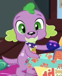 Size: 512x630 | Tagged: safe, screencap, character:spike, character:spike (dog), species:dog, episode:reboxing with spike!, g4, my little pony:equestria girls, clothing, cute, fabulous fido's faberge flying disk, looking at you, paws, slippers, smiling, spikabetes, tail