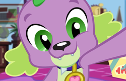 Size: 1120x720 | Tagged: safe, screencap, character:spike, character:spike (dog), species:dog, episode:reboxing with spike!, g4, my little pony:equestria girls, collar, cute, male, sci-twi's room, smiling, spikabetes, spike's dog collar