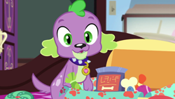 Size: 1280x720 | Tagged: safe, screencap, character:spike, character:spike (dog), species:dog, episode:reboxing with spike!, g4, my little pony:equestria girls, fabulous fido's faberge flying disk, male, paws, sci-twi's room, solo, spike's dog collar