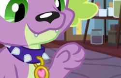 Size: 1120x720 | Tagged: safe, screencap, character:spike, character:spike (dog), species:dog, episode:reboxing with spike!, g4, my little pony:equestria girls, collar, cropped, male, paws, sci-twi's room, smiling, spike's dog collar