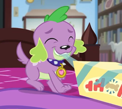 Size: 536x483 | Tagged: safe, screencap, character:spike, character:spike (dog), species:dog, episode:reboxing with spike!, g4, my little pony:equestria girls, box, collar, cropped, cute, eyes closed, male, paws, sci-twi's room, smiling, solo, spikabetes, tail