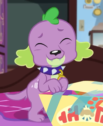 Size: 591x720 | Tagged: safe, screencap, character:spike, character:spike (dog), species:dog, episode:reboxing with spike!, g4, my little pony:equestria girls, box, cropped, cute, embarrassed grin, eyes closed, male, paws, sci-twi's room, smiling, spikabetes, spike's dog collar