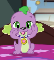 Size: 391x434 | Tagged: safe, screencap, character:spike, character:spike (dog), species:dog, episode:reboxing with spike!, g4, my little pony:equestria girls, collar, cropped, male, paws, sci-twi's room, smiling, solo, spike's dog collar, tail