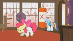 Size: 1280x720 | Tagged: safe, screencap, character:apple bloom, character:rainbow dash, species:pony, episode:call of the cutie, g4, my little pony: friendship is magic, black belt, clothing, dojo, gi, headband, karate, ponyville dojo, punching bag, robe, trousers, white belt