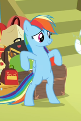 Size: 292x436 | Tagged: safe, screencap, character:rainbow dash, species:pegasus, species:pony, episode:grannies gone wild, g4, my little pony: friendship is magic, bipedal, bipedal leaning, cropped, female, leaning, luggage, mare, offscreen character, solo focus