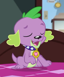 Size: 411x500 | Tagged: safe, screencap, character:spike, character:spike (dog), species:dog, episode:reboxing with spike!, g4, my little pony:equestria girls, collar, cropped, eyes closed, male, paws, sci-twi's room, smiling, spike's dog collar