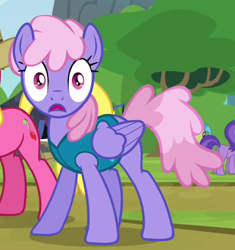 Size: 996x1058 | Tagged: safe, screencap, character:amethyst star, character:cherry berry, character:rainbowshine, character:sparkler, species:pegasus, species:pony, episode:trade ya, g4, my little pony: friendship is magic, background pony, cropped, female, flounder (character), looking at camera, looking at the camera, looking at you, mare, missing cutie mark, shocked, solo focus, weather team, wide eyes, winter wrap up vest