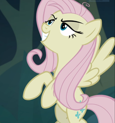 Size: 876x935 | Tagged: safe, screencap, character:fluttershy, character:mean fluttershy, species:pony, episode:the mean 6, g4, my little pony: friendship is magic, clone, cropped, evil grin, female, flying, grin, lidded eyes, smiling, solo
