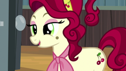 Size: 1280x720 | Tagged: safe, screencap, character:cherry jubilee, species:earth pony, species:pony, episode:party pooped, g4, my little pony: friendship is magic, beauty mark, female, mare, solo