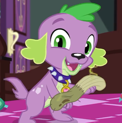 Size: 624x630 | Tagged: safe, screencap, character:spike, character:spike (dog), species:dog, episode:reboxing with spike!, g4, my little pony:equestria girls, collar, cropped, dirty sock, male, paws, smelly, smiling, spike's dog collar, tail