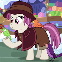 Size: 510x505 | Tagged: safe, screencap, character:constance, species:bird, species:earth pony, species:pony, episode:best gift ever, g4, my little pony: friendship is magic, background pony, female, heartfelt song, home alone 2: lost in new york, mare, pigeon lady, solo