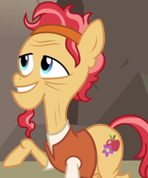 Size: 900x1080 | Tagged: safe, screencap, species:earth pony, species:pony, episode:daring done, cactus fruit, cropped, male, raised hoof, solo, somnambula resident, stallion