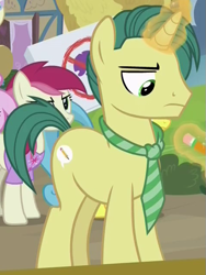 Size: 475x630 | Tagged: safe, screencap, character:roseluck, species:pony, species:unicorn, episode:fame and misfortune, g4, my little pony: friendship is magic, cropped, journalism, male, stallion