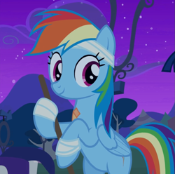 Size: 945x938 | Tagged: safe, screencap, character:rainbow dash, species:pegasus, species:pony, episode:newbie dash, g4, my little pony: friendship is magic, bandage, bipedal, cropped, featureless crotch, female, hind legs, holding, mare, smiling, sweeping