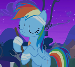 Size: 1021x925 | Tagged: safe, screencap, character:rainbow dash, species:pegasus, species:pony, episode:newbie dash, g4, my little pony: friendship is magic, bandage, bipedal, cropped, eyes closed, female, hind legs, mare, sweeping