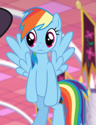 Size: 652x850 | Tagged: safe, screencap, character:rainbow dash, species:pegasus, species:pony, episode:rarity investigates, g4, my little pony: friendship is magic, cropped, female, flying, mare, offscreen character, solo focus, spread wings, wings