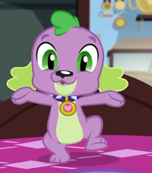 Size: 502x572 | Tagged: safe, screencap, character:spike, character:spike (dog), species:dog, episode:reboxing with spike!, g4, my little pony:equestria girls, collar, cropped, cute, male, paws, spikabetes, spike's dog collar