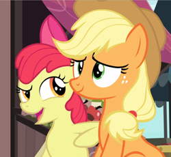 Size: 1018x938 | Tagged: safe, screencap, character:apple bloom, character:applejack, species:earth pony, species:pony, episode:the perfect pear, g4, my little pony: friendship is magic, bow, cropped, duo, female, filly, freckles, hair bow, mare, nudge, open mouth, raised eyebrow, raised hoof, siblings, sisters, sitting, smiling
